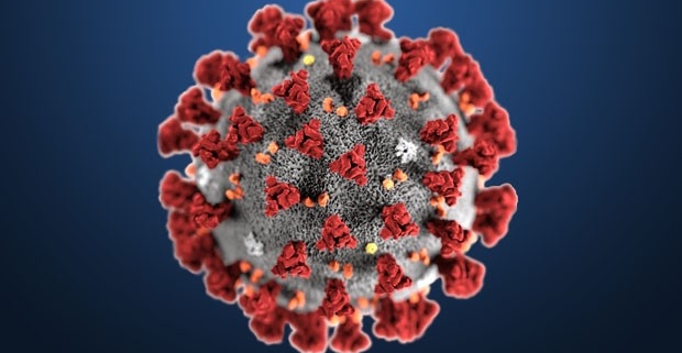 COVID-19, imagen del virus